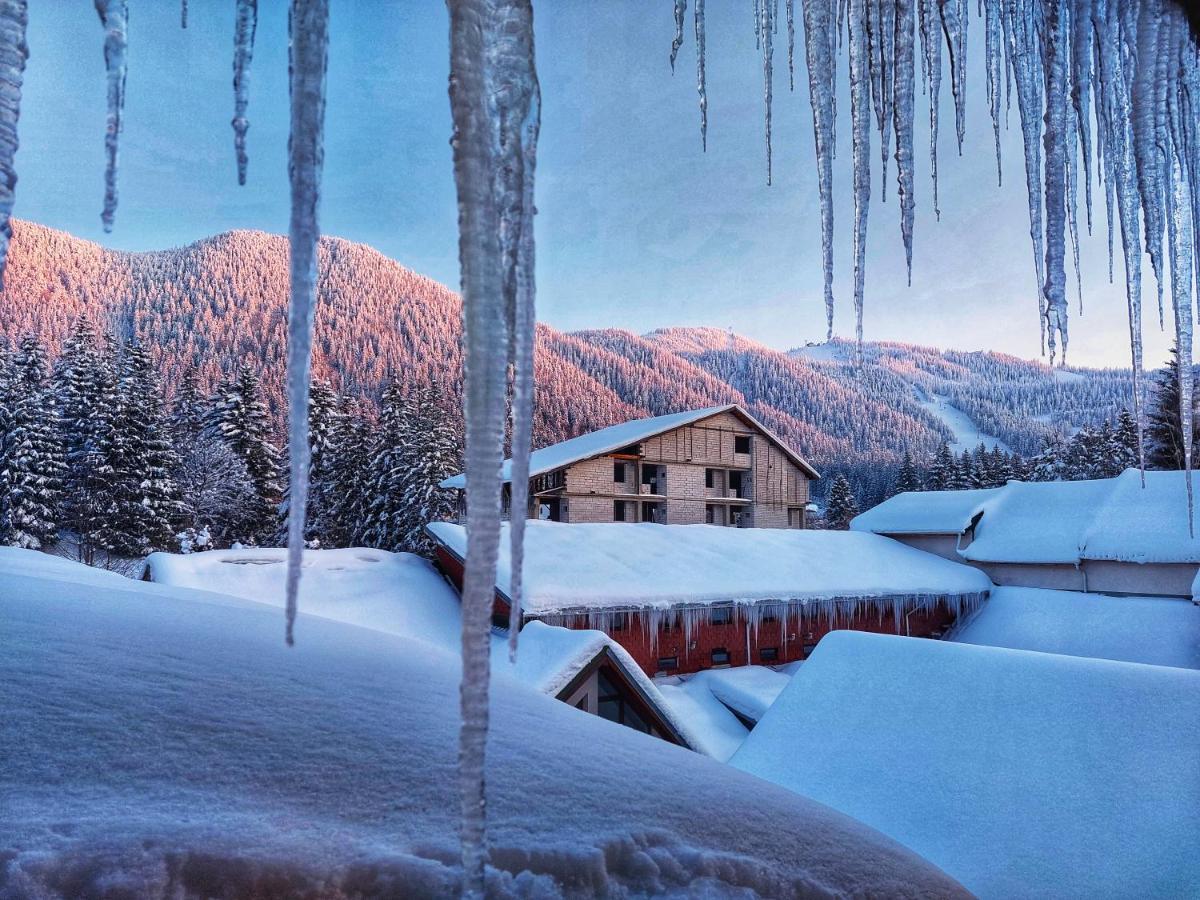Hotel Vila Simonte Poiana Brașov Zewnętrze zdjęcie